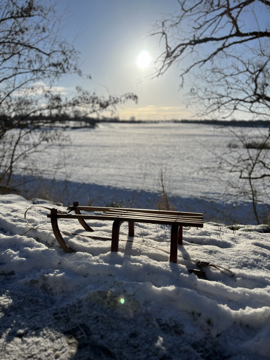 winter_schlitten.jpeg
